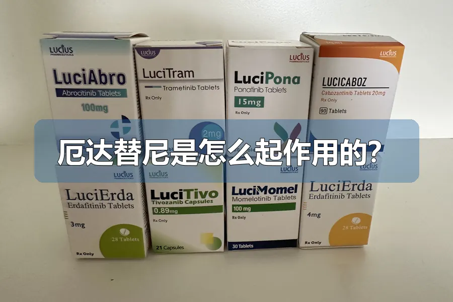 厄达替尼是怎么起作用的？